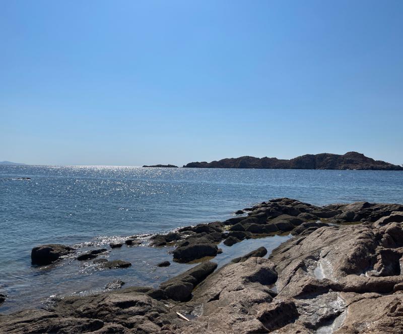 Fotosegnalazione di Isola rossa