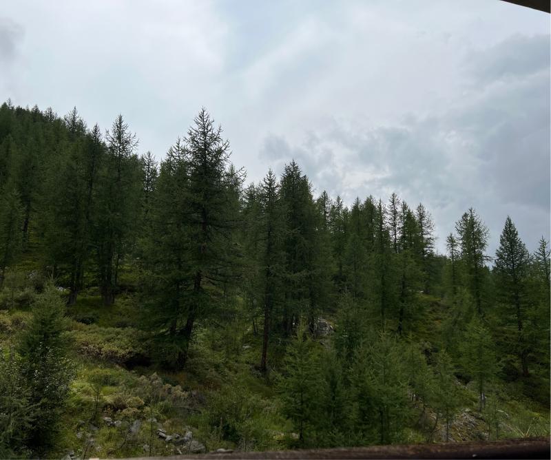 Fotosegnalazione di Breuil-cervinia