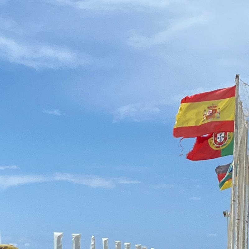 Fotosegnalazione di Viareggio