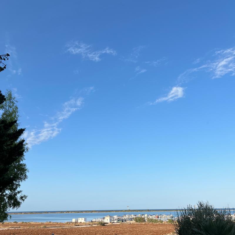 Fotosegnalazione di Porto cesareo