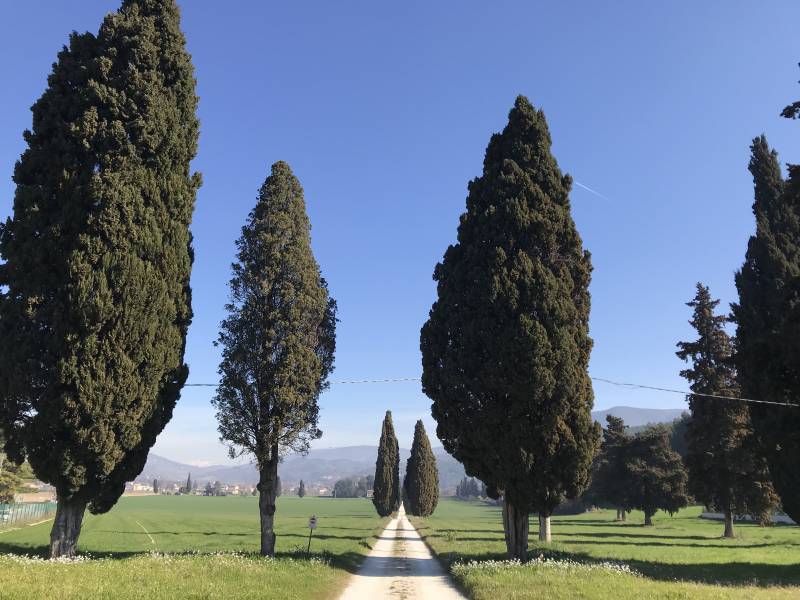 pidere morotti vescia di giannionali