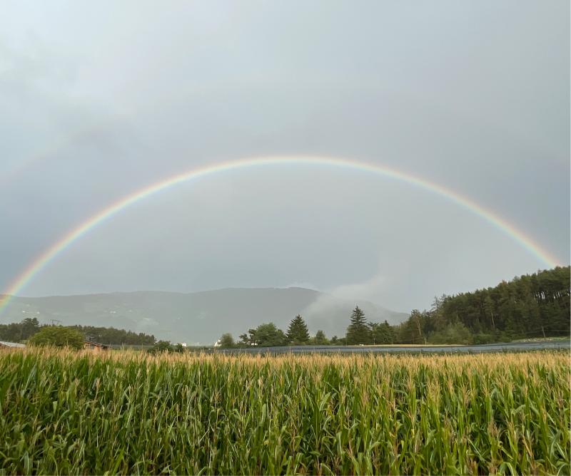 Fotosegnalazione di Naz sciaves