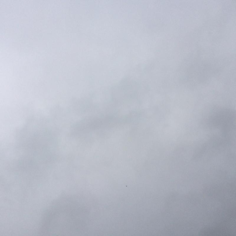 8.05 cielo su ferrara