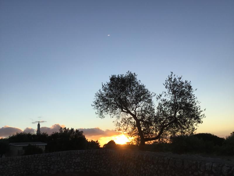 Alba a Cisternino contrada Madonna dIbernia