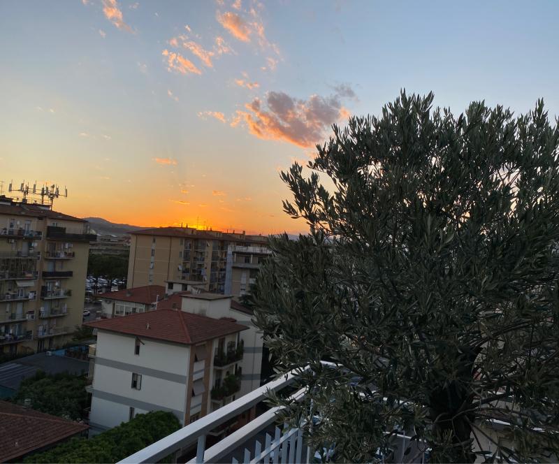 Fotosegnalazione di Scandicci