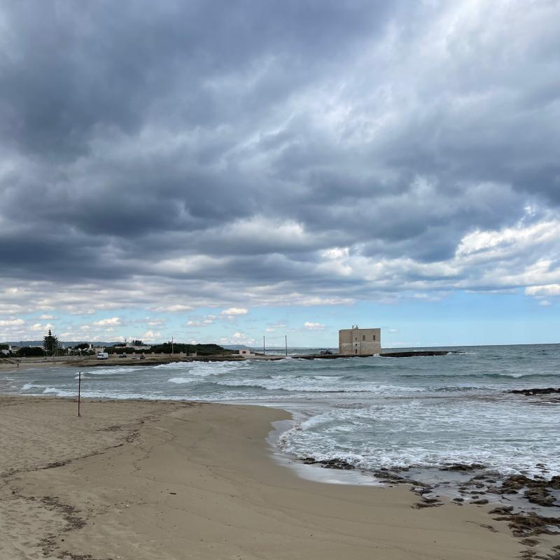 Fotosegnalazione di Rosa marina