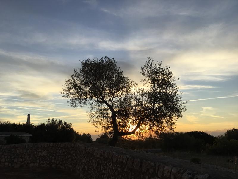 Alba del giorno 25 settembre a Cisternino contrada Madonna dIbernia