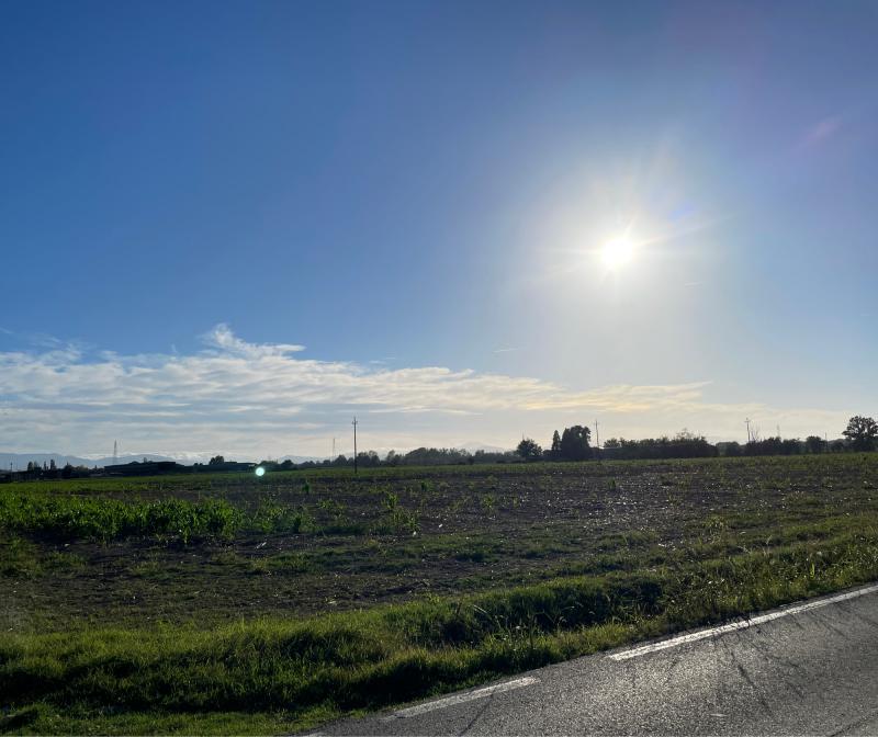Fotosegnalazione di Parma golese