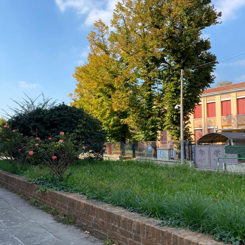 Fotosegnalazione di Padova mortise