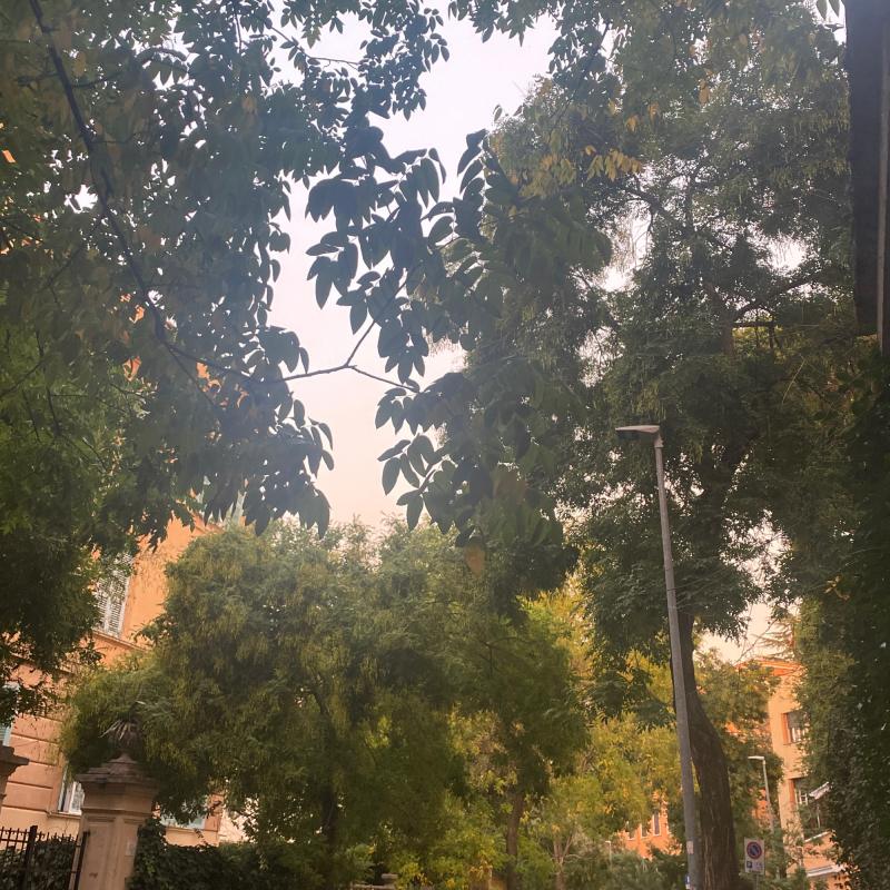 Fotosegnalazione di Roma parioli