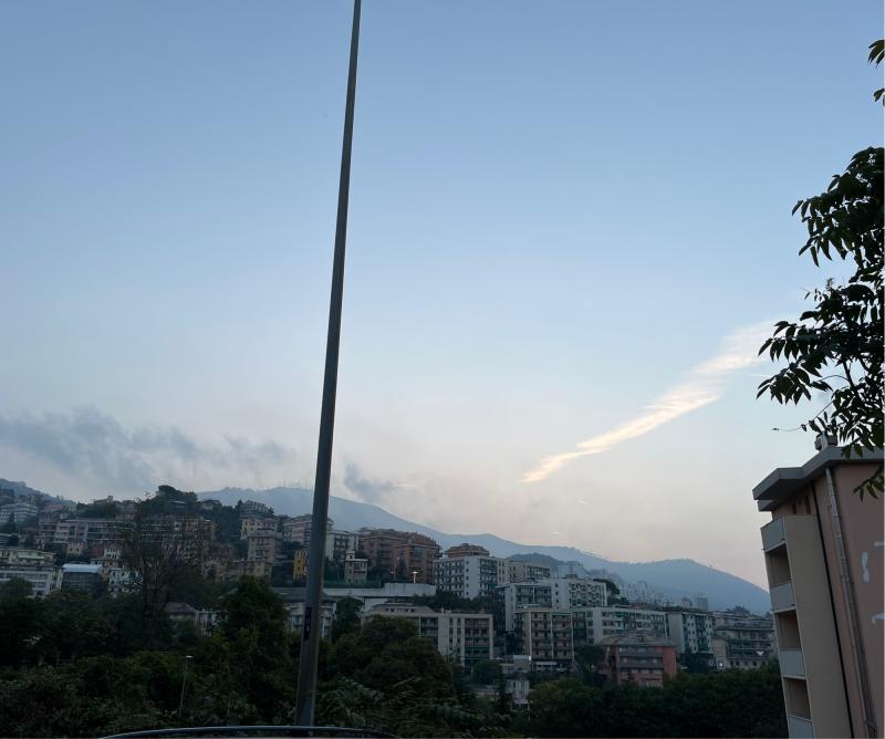 Fotosegnalazione di Genova sturla