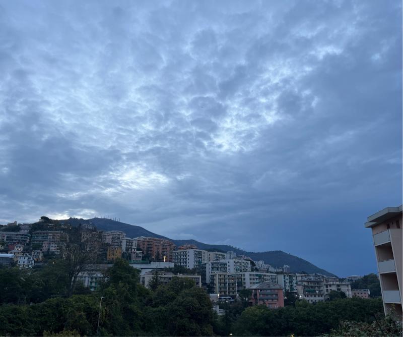 Fotosegnalazione di Genova sturla