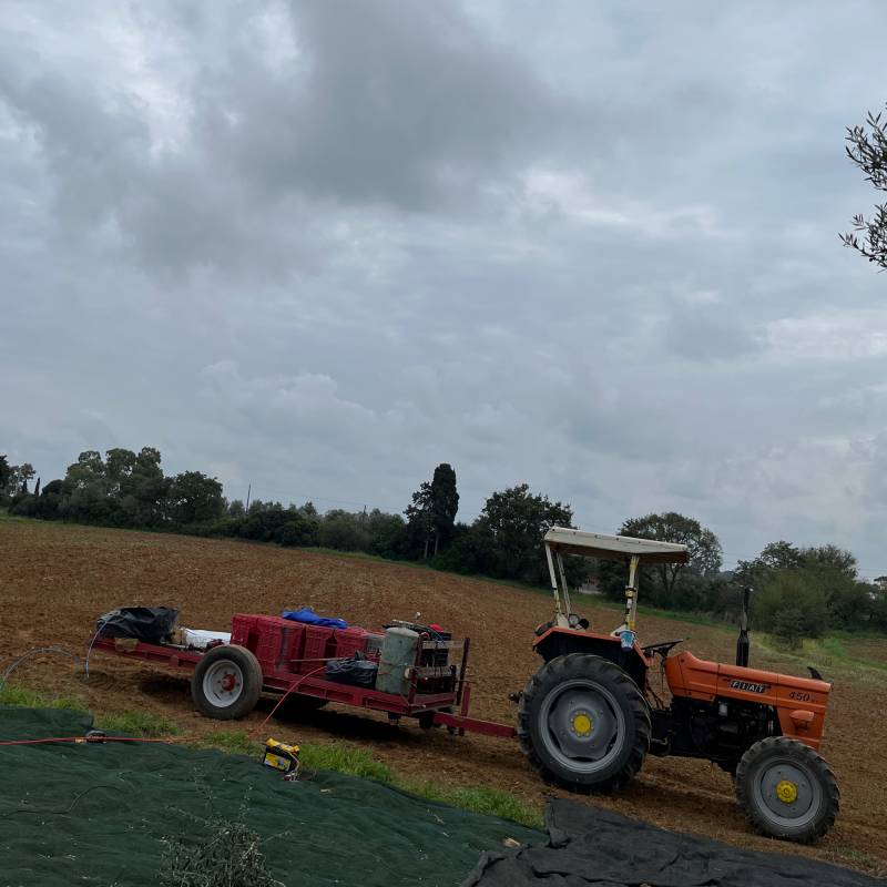 Fotosegnalazione di Montalto di castro