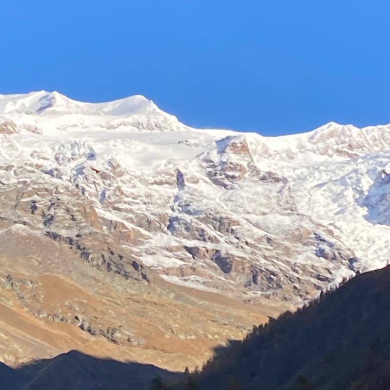 Fotosegnalazione di Staffal