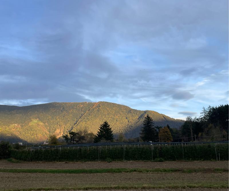Fotosegnalazione di Naz sciaves
