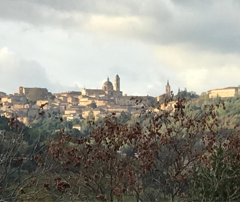 Fotosegnalazione di Urbino est
