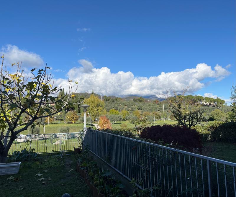 Fotosegnalazione di Cunettone