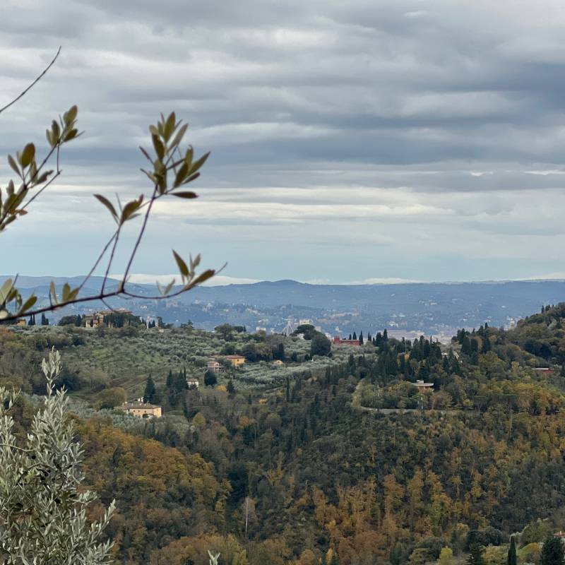Fotosegnalazione di Firenze serpiolle