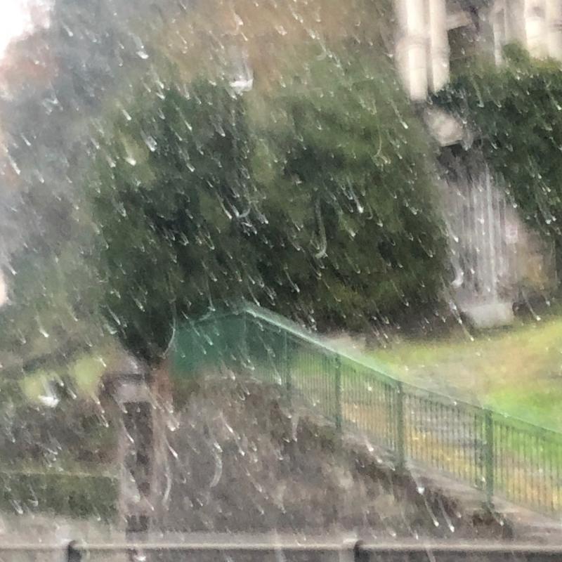 Fotosegnalazione di Faggeto lario