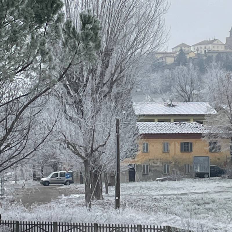 Fotosegnalazione di San marzano oliveto