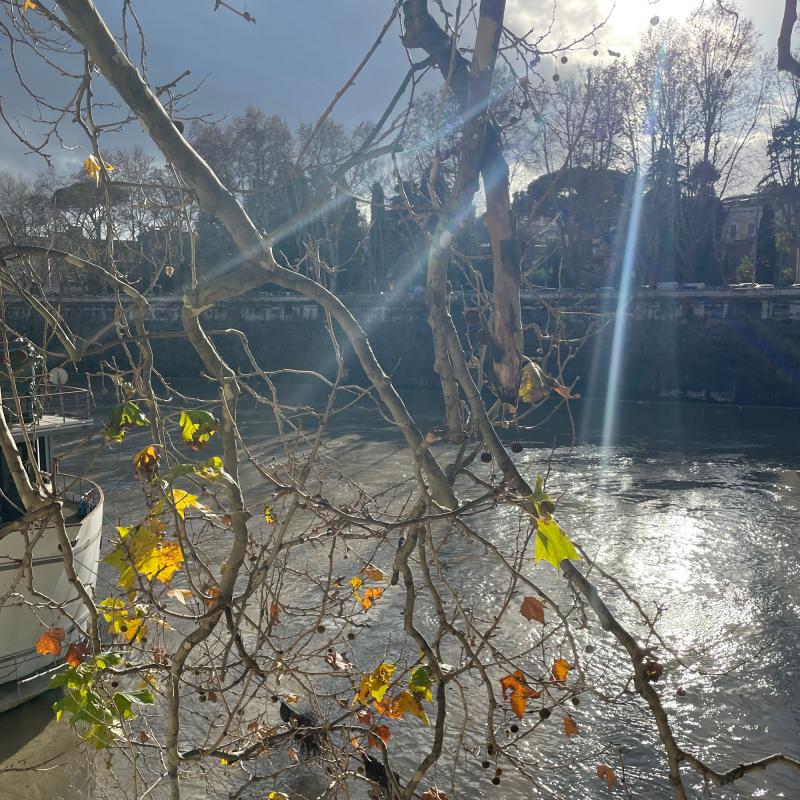 Fotosegnalazione di Roma regola