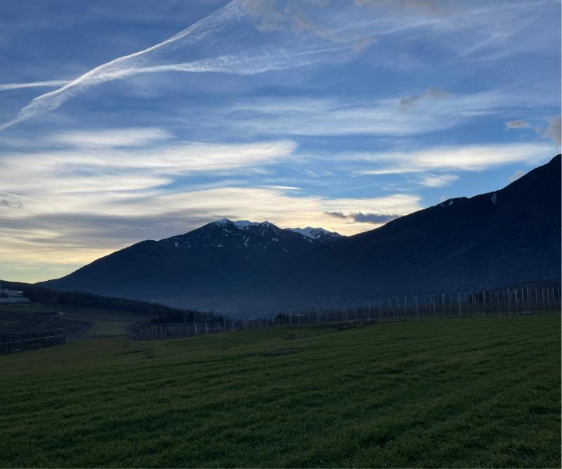 Fotosegnalazione di Naz sciaves