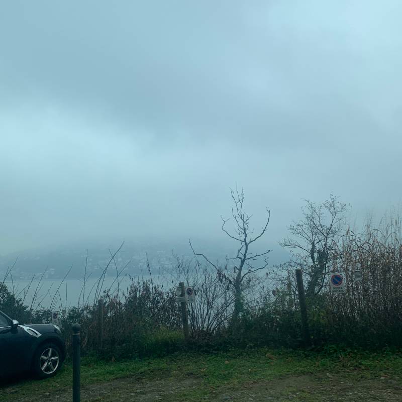 Previsione sbagliata