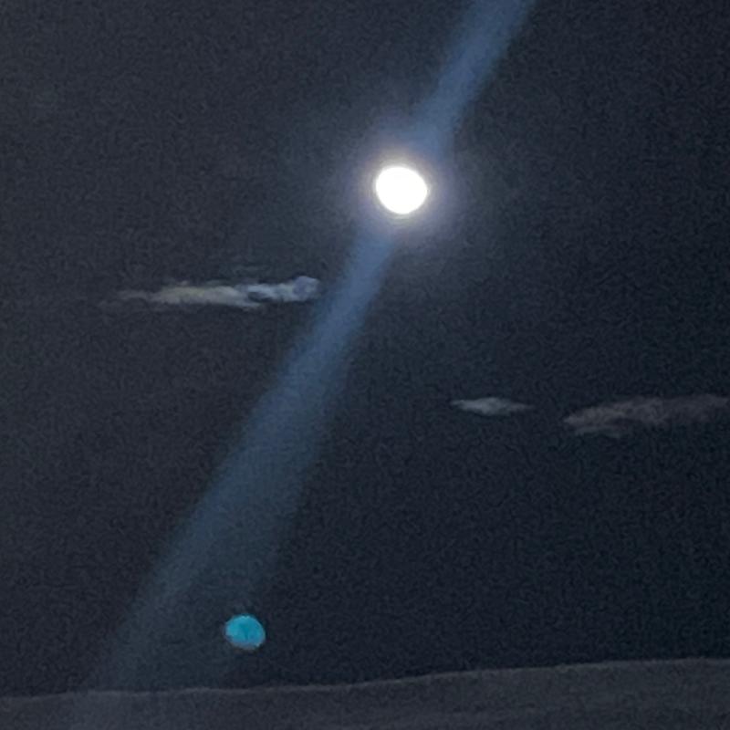 Fotosegnalazione di Tradate