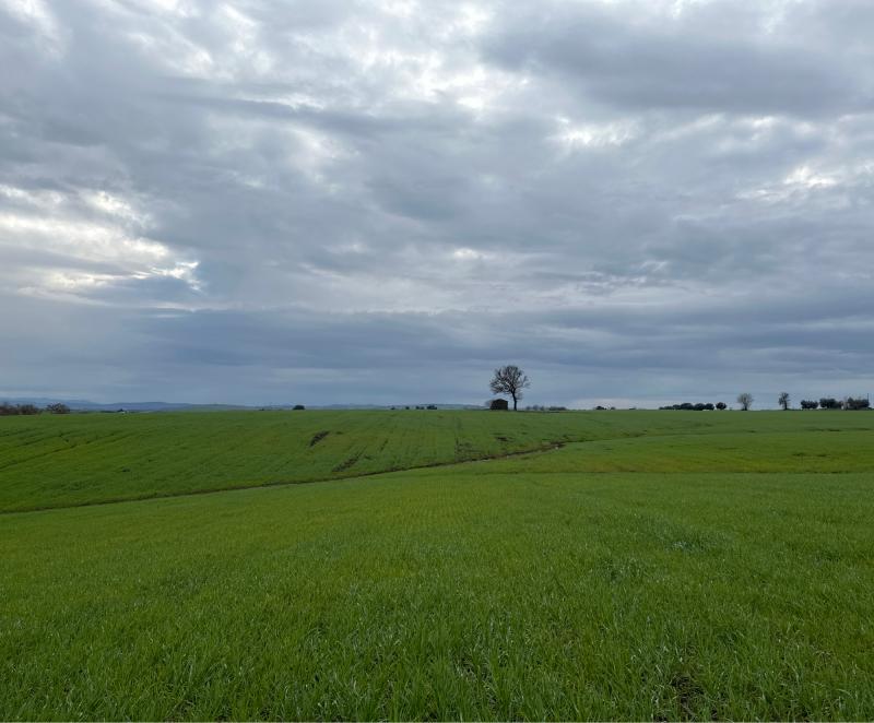 Fotosegnalazione di Tuscania