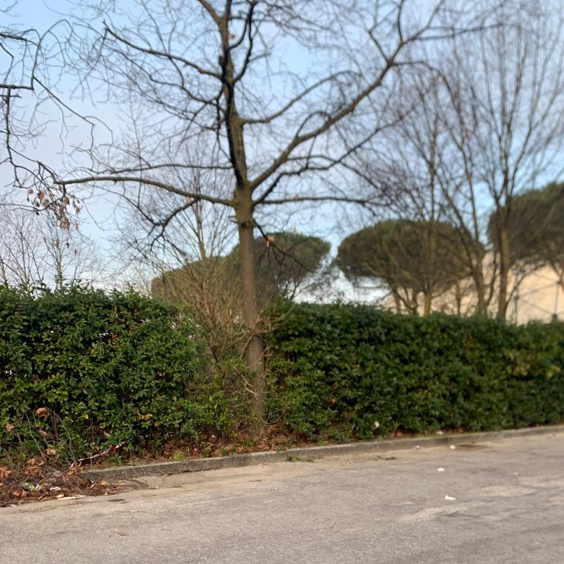 Fotosegnalazione di Prato centro urbano