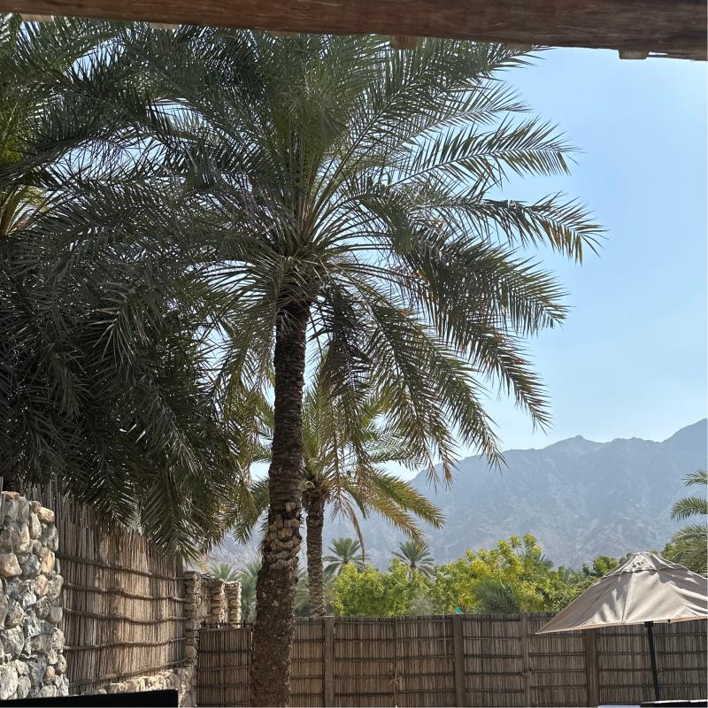 Fotosegnalazione di Dibba al-hisn