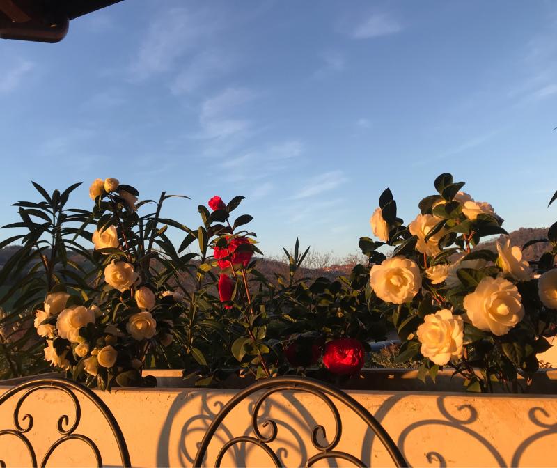 Fotosegnalazione di Urbino est