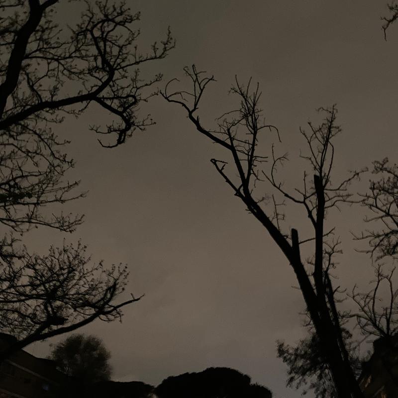 Fotosegnalazione di Roma parioli