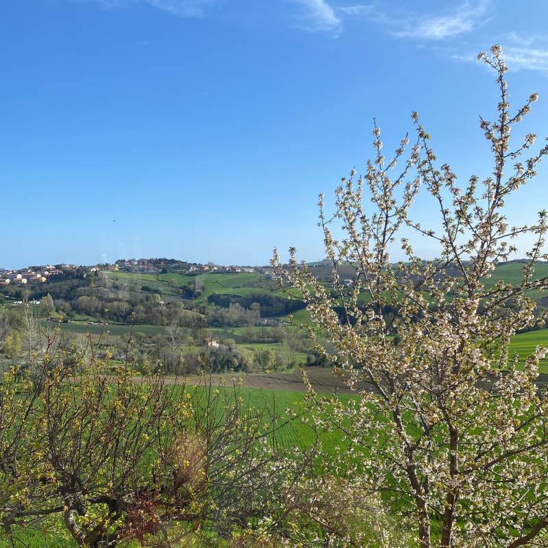 Fotosegnalazione di Orciano di pesaro