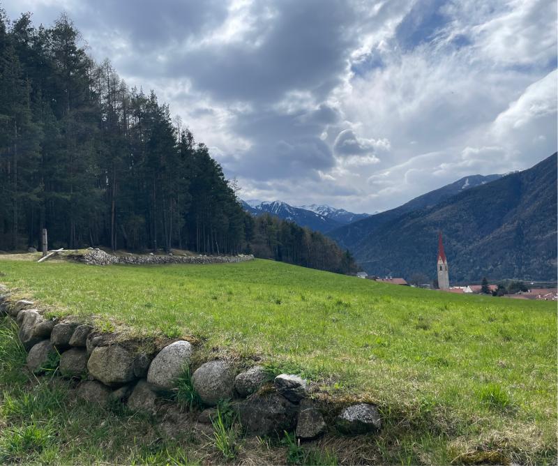 Fotosegnalazione di Naz sciaves