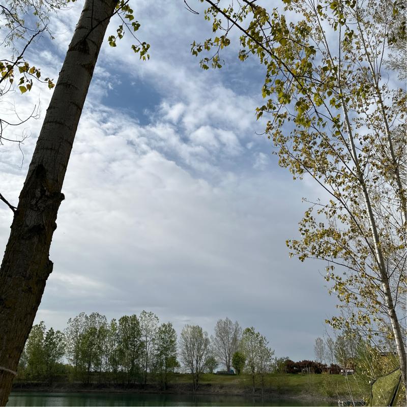 Fotosegnalazione di Isola sant'antonio