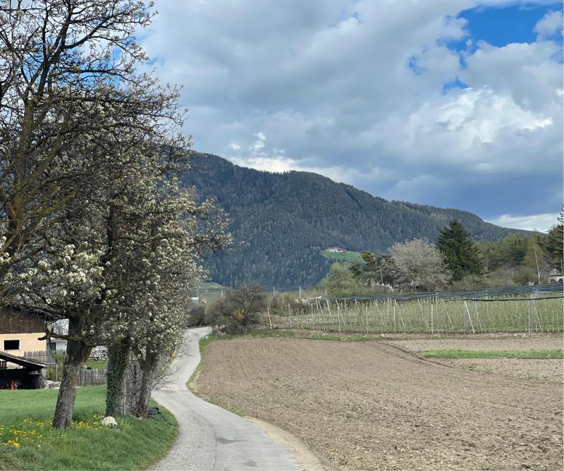 Fotosegnalazione di Naz sciaves