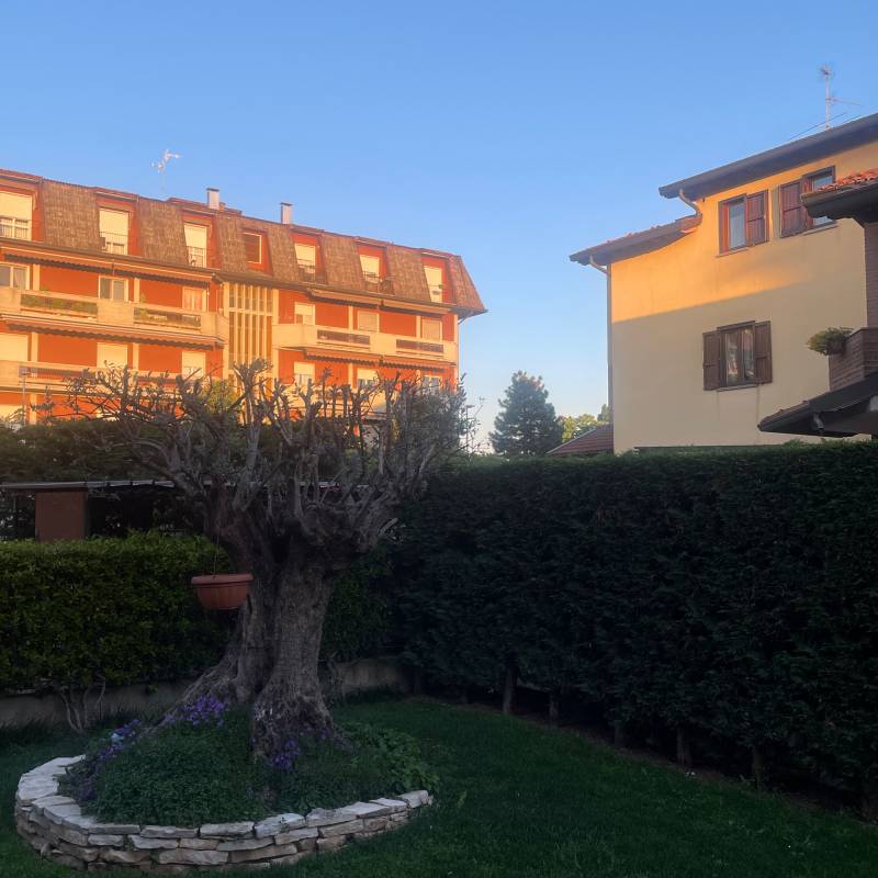 Tra luce e ombra