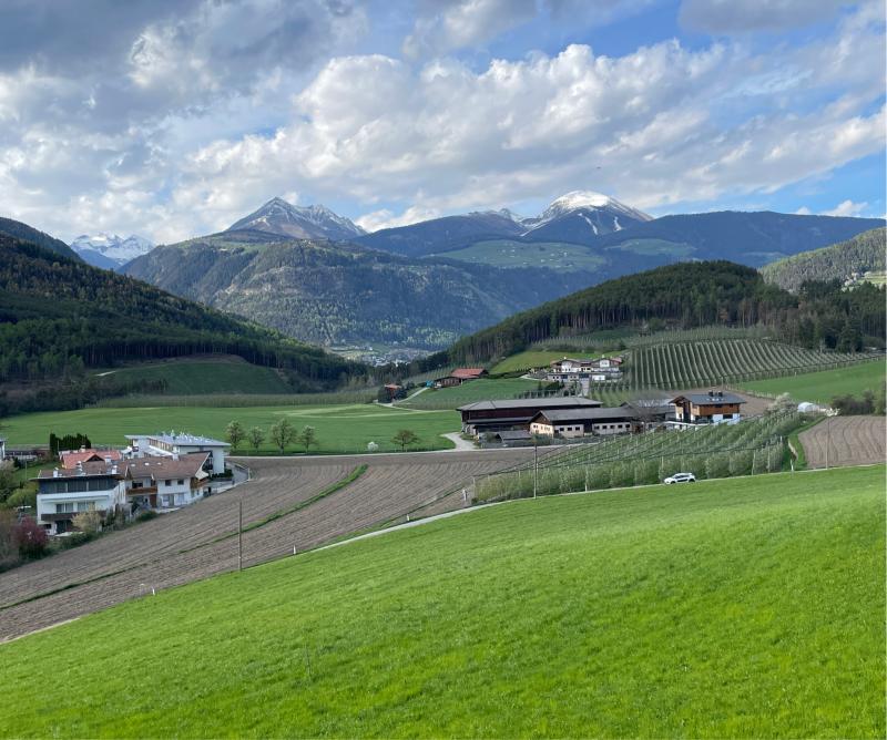 Fotosegnalazione di Naz sciaves