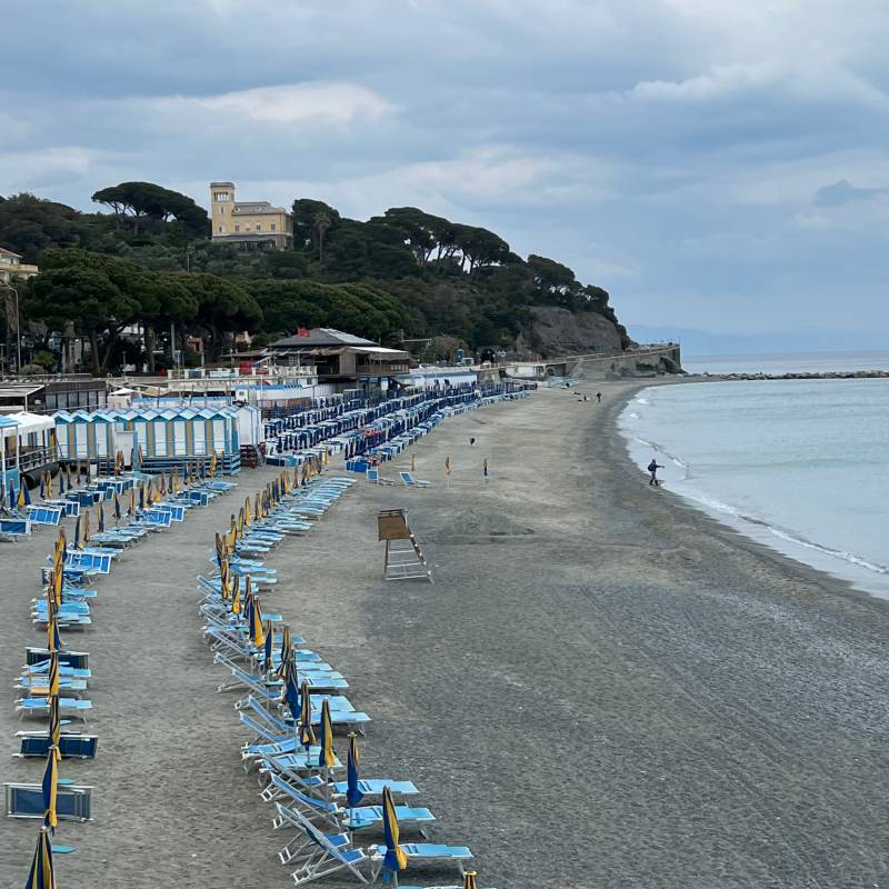 Celle ligure
