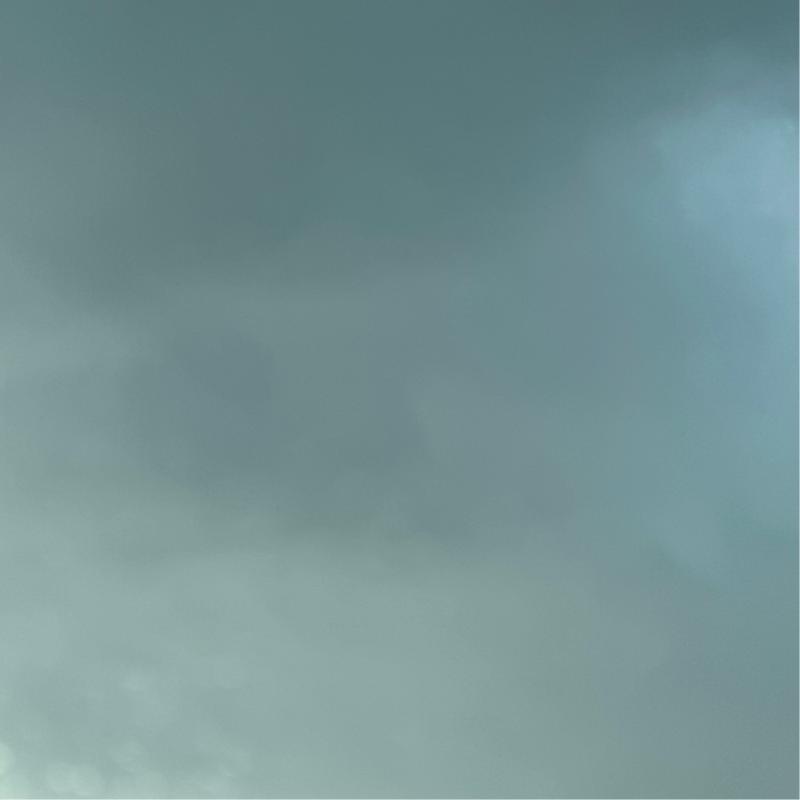 Fotosegnalazione di Paola