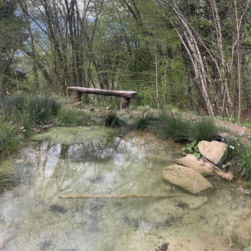 Fotosegnalazione di Alpago