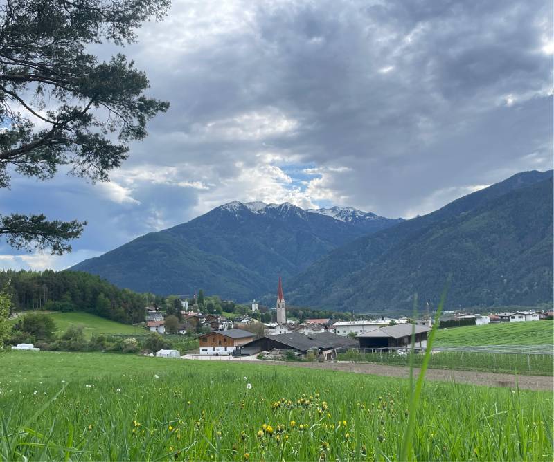 Fotosegnalazione di Naz sciaves