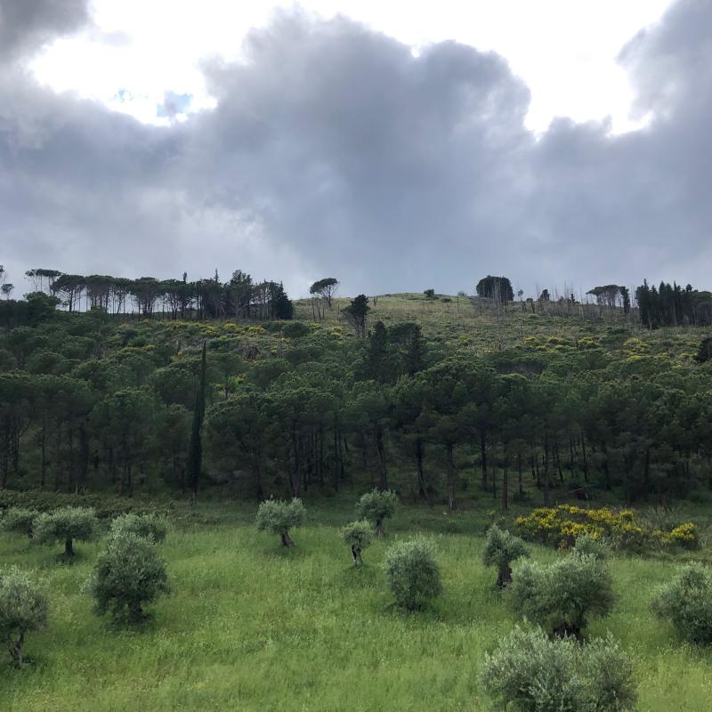 Fotosegnalazione di Castrovillari