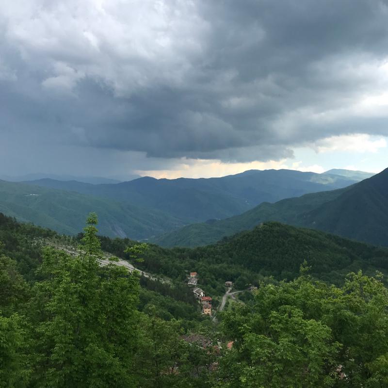 Fotosegnalazione di Zerba