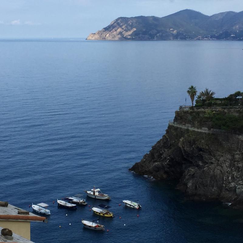 Fotosegnalazione di Manarola