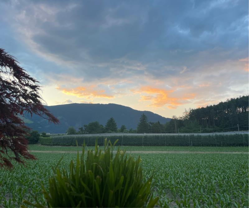 Fotosegnalazione di Naz sciaves