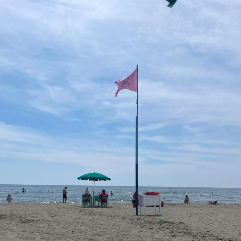 Fotosegnalazione di Forte dei marmi