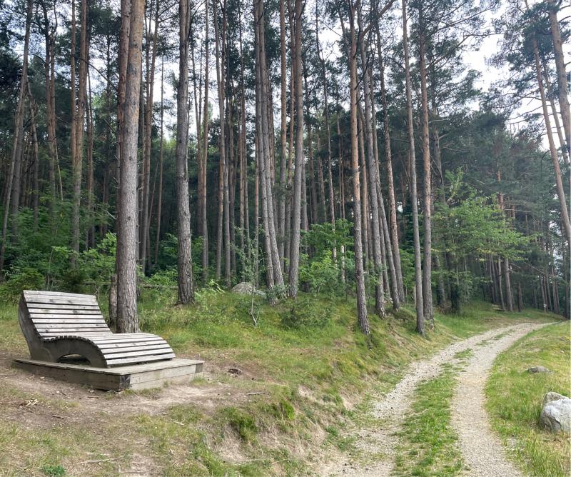 Fotosegnalazione di Naz sciaves