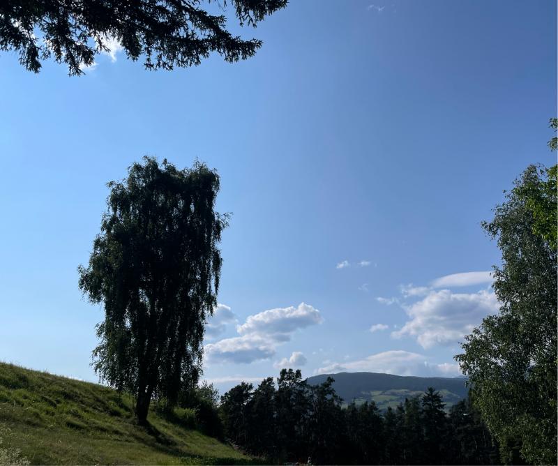 Fotosegnalazione di Naz sciaves